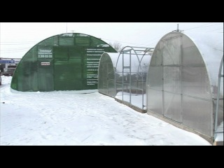 presentation video of the greenhouse sibirskaya