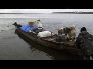 happy people: a year in the taiga / happy people. a year in the taiga (2010)